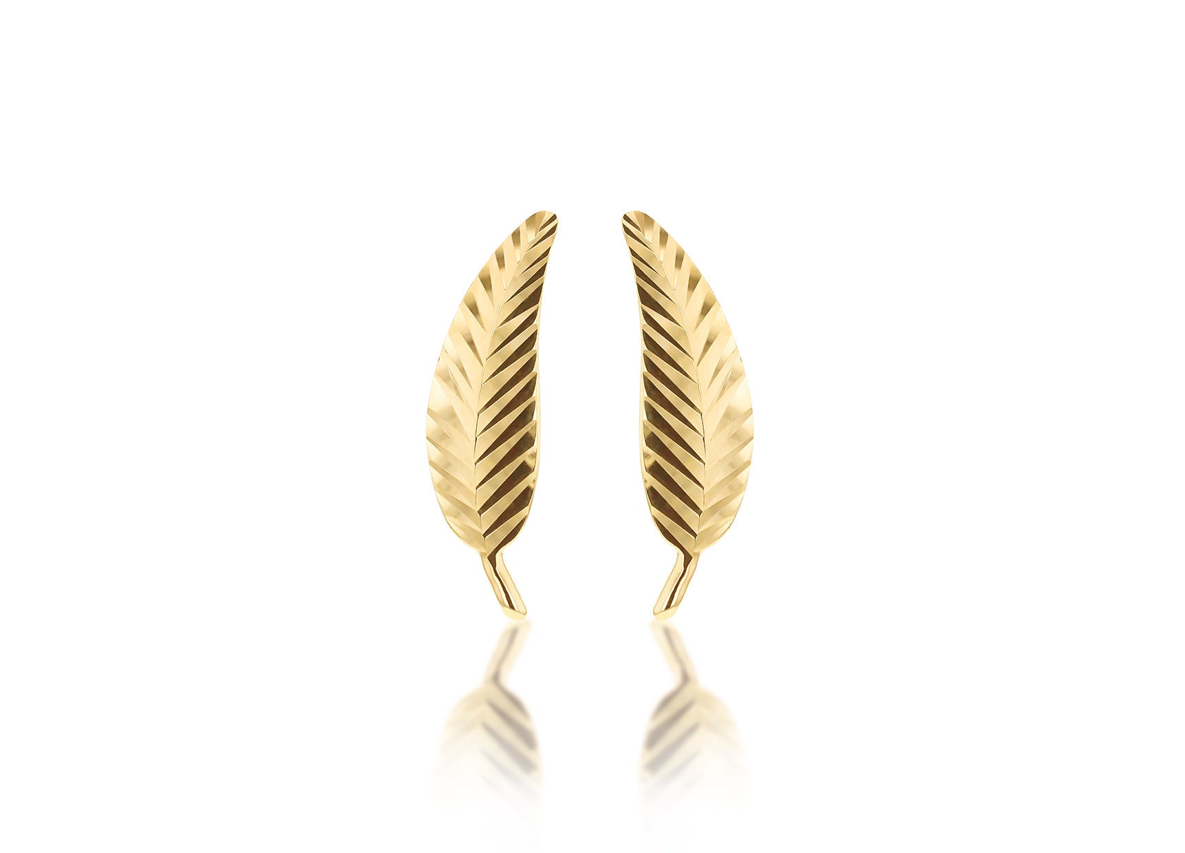 9ct Yellow Gold Fern Leaf Stud Earrings