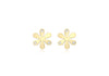 9ct Yellow Gold Zirconia Flower Stud Earrings