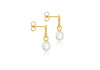 9ct Yellow Gold Baroque Freshwater Pearl Drop Earrings
