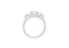 18ct White Gold 0.94ct Diamond Graduated Half-Eternity Ring