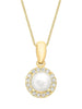 9ct Yellow Gold Freshwater Pearl & Zirconia Halo Pendant