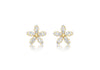 9ct Yellow Gold Marquise Zirconia  10.5mm x 10.5mm Flower Stud Earrings
