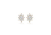 9ct Yellow Gold Zirconia  8mm x 10mm Flower Cluster Stud Earrings