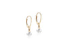 9ct Yellow Gold 6mm Pearl Drop Earrings
