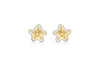 9ct 2-Colour Gold Starfish Stud Earrings