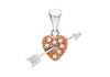 9ct 2-Colour Gold 0.05t Diamond Heart & Arrow Pendant